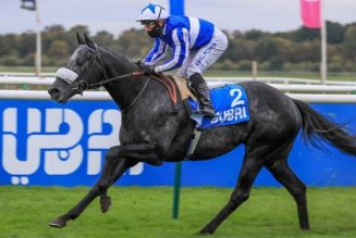 Supreme Stakes Trends & Tips – Get Goodwood 1-2-3 from Experts