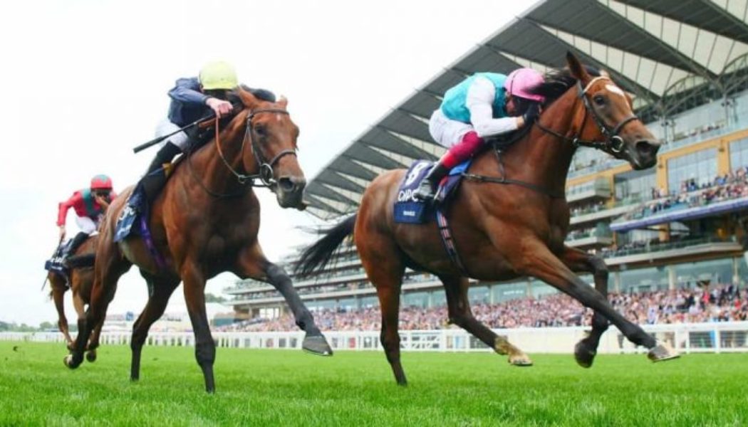 Templegate ITV Racing Tips | Horse Racing Best Bets For Saturday