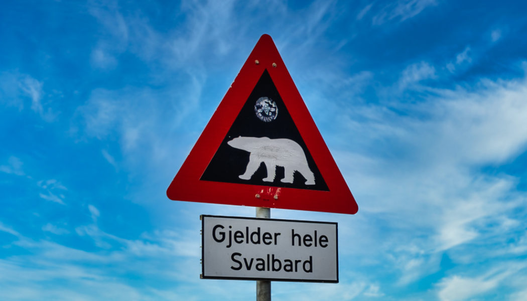 Under the midnight sun: a surreal trip to Svalbard