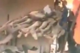 VIDEO: Dreadful Shrine Discovered in Ekenwan Road, Benin City With all kinds of dried up human bodies in it