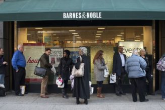 Virginia judge shuts down demand to ban book sales to minors