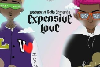 Wadude ft Bella Shmurda – Expensive Love