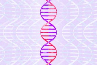 Ancestry will tell users which side of the family their matches come from