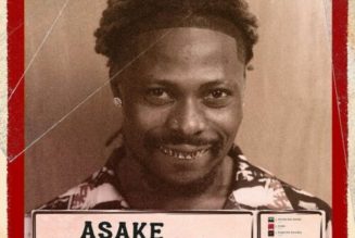 Asake – Mr. Money With The Vibe Album