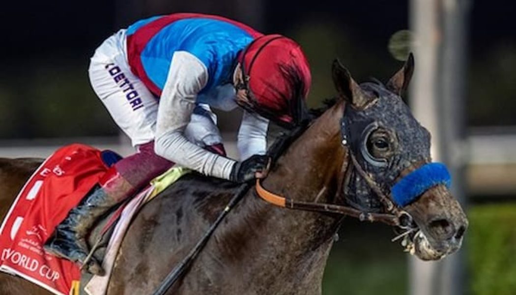 Awesome Again Stakes 2022 | Country Grammer Among Runners