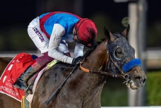 Awesome Again Stakes 2022 | Country Grammer Among Runners