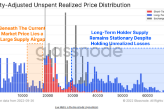 Bitcoin ‘great detox’ could trigger a BTC price drop to $12K — Research