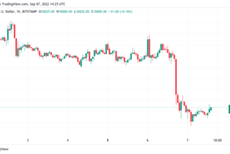 Bitcoin price hits 10-week low amid ‘painful’ US dollar rally warning