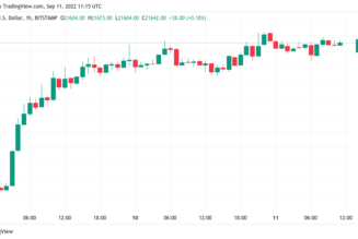 Bitcoin short squeeze ‘not over’ as BTC price eyes 17% weekly gains