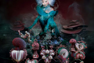 Björk Unveils Her “Mushroom Album” Fossora: Stream