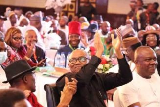 Both PDP and APC are worried and jealous of the ‘ stranger, Peter Obi ‘who wants to be king – Ogunlana