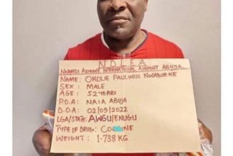 Brazilian returnee Give Birth to 92 wraps of cocaine at Abuja airport after many days in labor