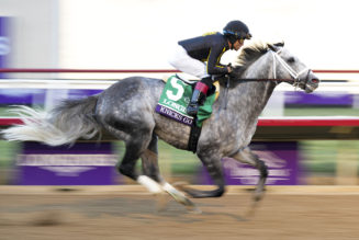 Breeders’ Cup 2022: Qualifying Races In October To Look Out For