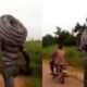 Cable thief made to run with a bike as punishment in Benin, Edo State