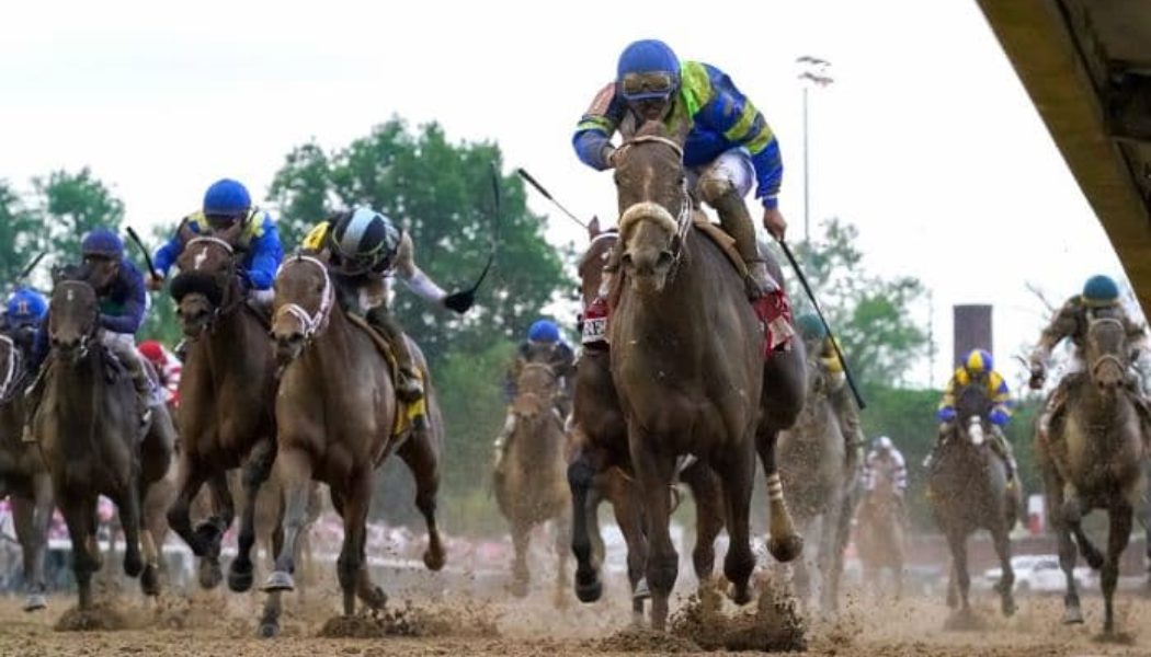 Cotillion Handicap Stakes 2022: Secret Oath The One To Beat