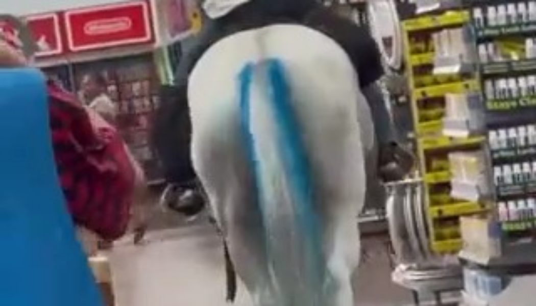 Cowboys Fan Rides Horse Through Store After Win Against Bengals