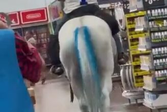 Cowboys Fan Rides Horse Through Store After Win Against Bengals
