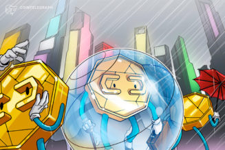 Crypto insurance market expands with decentralized and centralized options