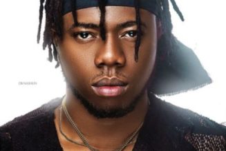 DanDizzy – Wotowoto