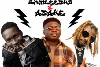 DJ PlentySongz – Best Of Zinoleesky x Asake Mix (2022)