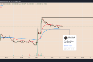 Dogecoin has crashed 75% against Bitcoin since Elon Musk’s SNL appearance
