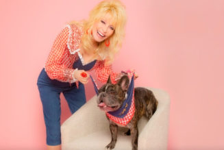 Dolly Parton Unveils Dog Accessory Line, Brilliantly Names It Doggy Parton