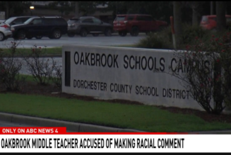“Educator” Calls Black Teacher “The Monkey Next Door”, Says She Didn’t Mean It In A Racist Way