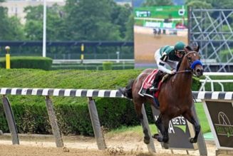 Flightline – How Good Is He and Next Stop Breeders’ Cup Classic