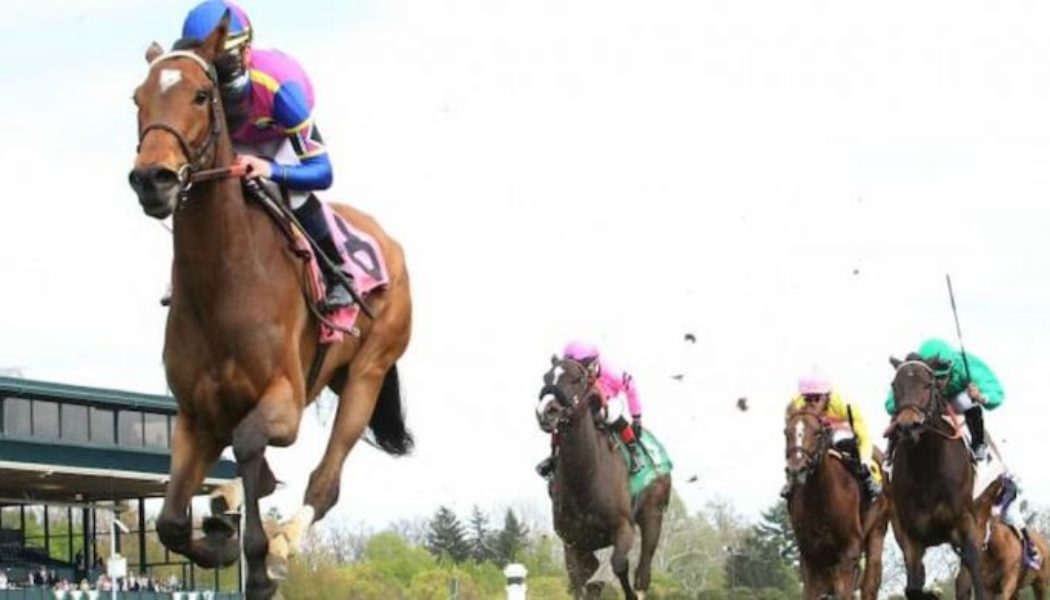 Flower Bowl Invitational Stakes 2022 Runners and Riders