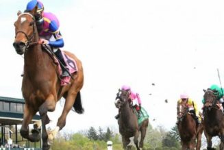 Flower Bowl Invitational Stakes 2022 Runners and Riders