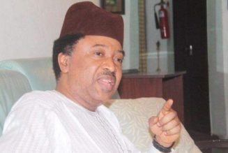 Insecurity: Avoid Kaduna Airport, Shehu Sani Advises Protesting Students