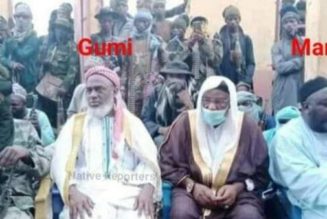 Mamu: DSS Now Operates Lawlessly Like Bandits – Sheikh Gumi Reacts