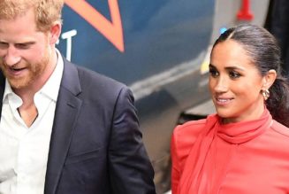 Meghan Markle Just Wore the Colour Expert’s Agree Looks Good On Everyone