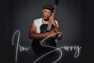 Sino Msolo ft Laud & MJ – I’m Sorry