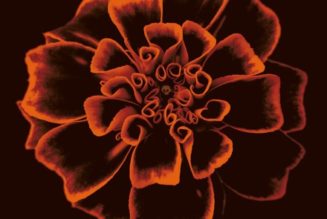 Siouxsie and the Banshees Announce New Archival Album