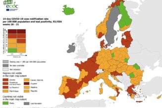 South African SMEs Looked Online & Abroad for Customers During COVID, New Research Shows
