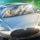 Tesla launches new Cyberwhistle that can only be bought using Dogecoin