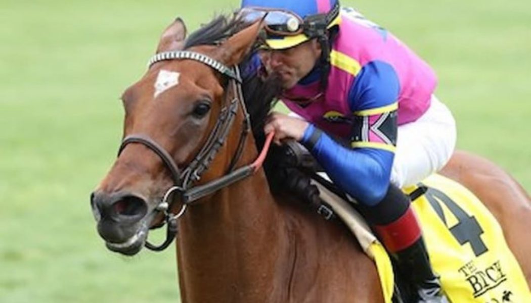 War Like Goddess Back To Defend Flower Bowl Stakes Crown