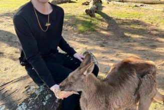 Watch Eliminate Produce a Track With Samples Recorded From Australian Wildlife