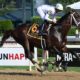 Woodward Stakes 2022 Runners: Life Is Good To Be Too Good