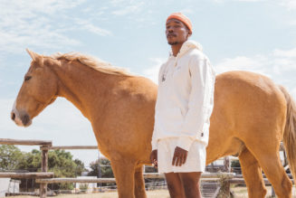 A Day in the Life of… Muzi