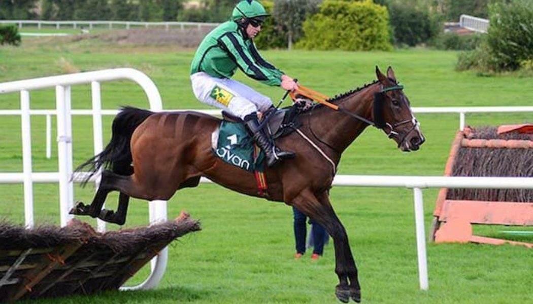 American Grand National 2022: Hewick Targets Far Hills Race Meeting