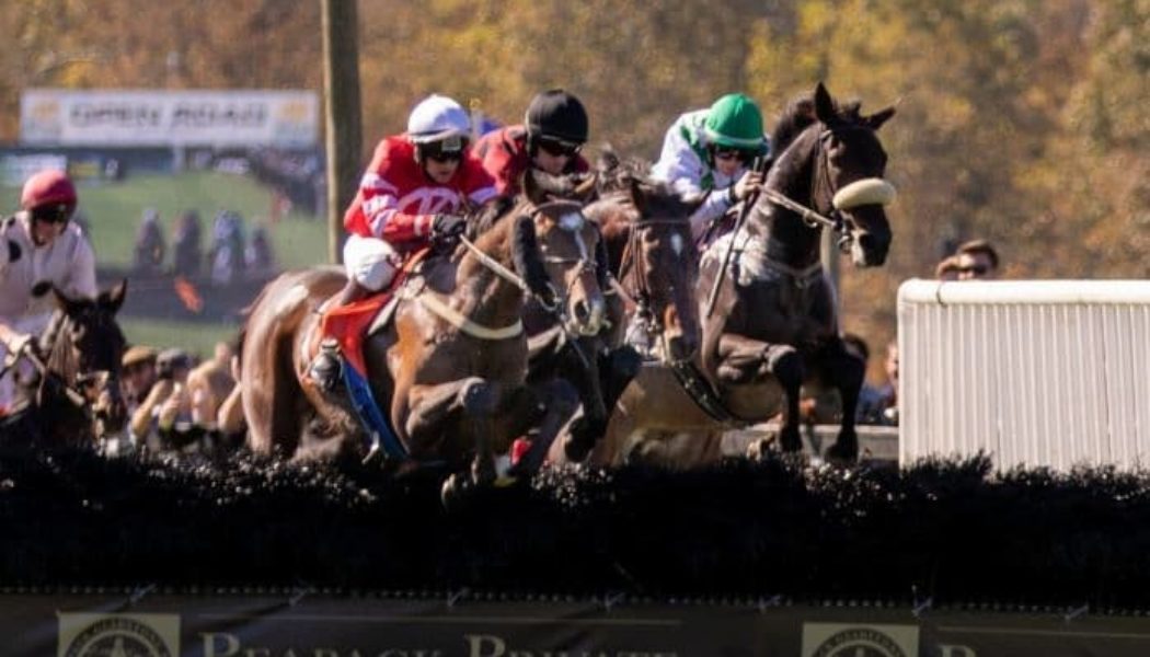American Grand National 2022 Runners For Far Hills Race Meeting