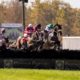 American Grand National 2022 Runners For Far Hills Race Meeting