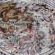 Archaeologists Discover Roman-Era Mosaic in Syria