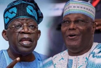 Atiku Stole PDP Ticket From South – Tinubu