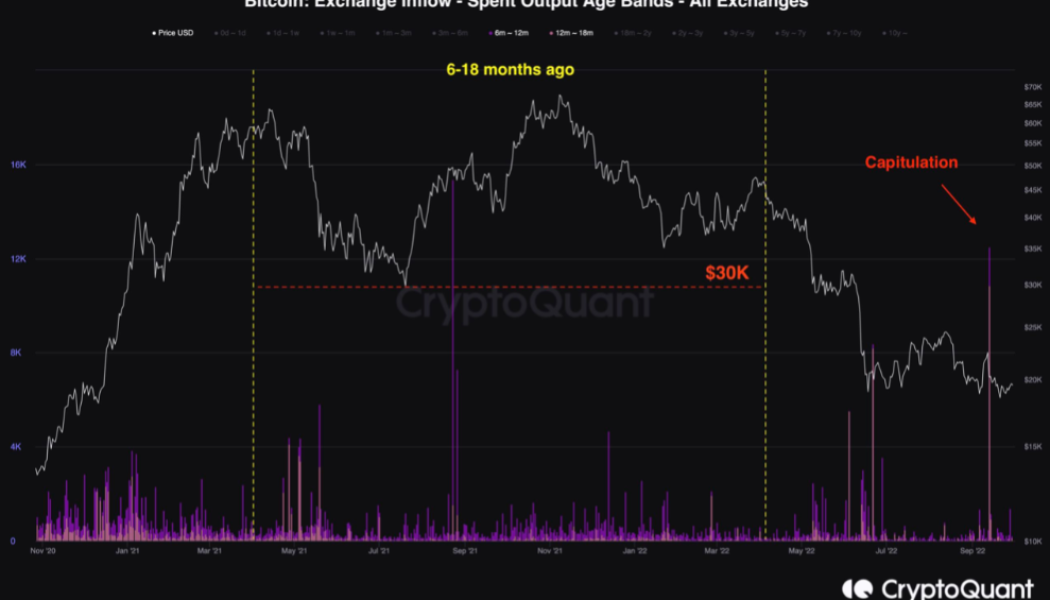 Bitcoin 2021 bull market buyers ‘capitulate’ as data shows 50% losses