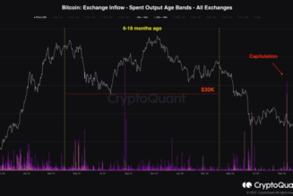 Bitcoin 2021 bull market buyers ‘capitulate’ as data shows 50% losses
