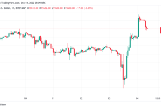 Bitcoin ‘bear trap’ sees BTC price near $20K as daily gains top 9%