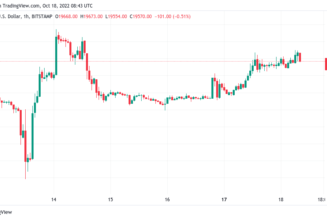 Bitcoin price ‘easily’ due to hit $2M in six years — Larry Lepard